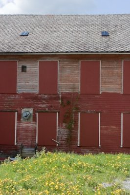 Rosendal-43