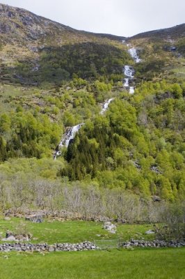 Rosendal-44