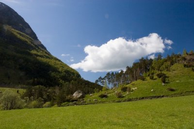 Rosendal-45