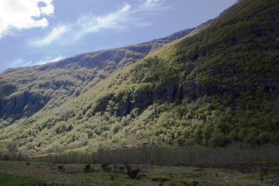 Rosendal-49