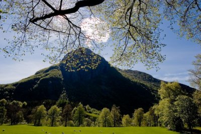 Rosendal-5