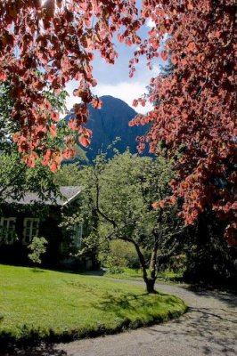 Rosendal-7