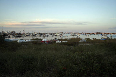 _MG_0060_cs3_web.jpg