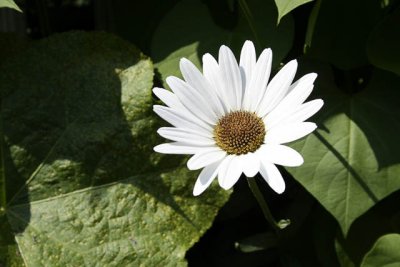 _MG_0179_cs3_web.jpg