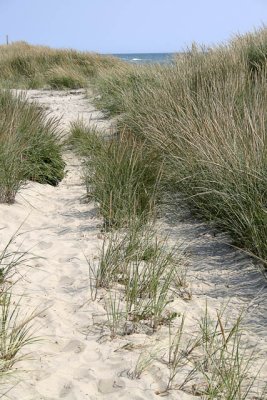 _MG_0503_cs3_web.jpg
