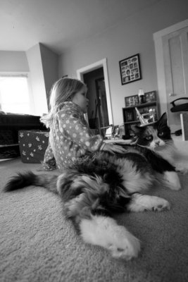 _MG_1577_ps_bw_web.jpg