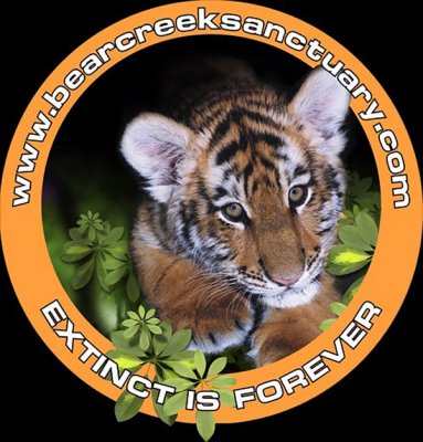 Bear Creek Sanctuary Logo