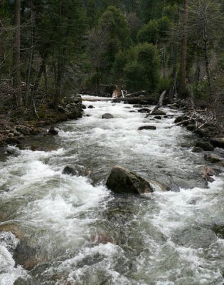The churning Merced River