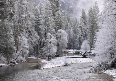 Early morning Merced River