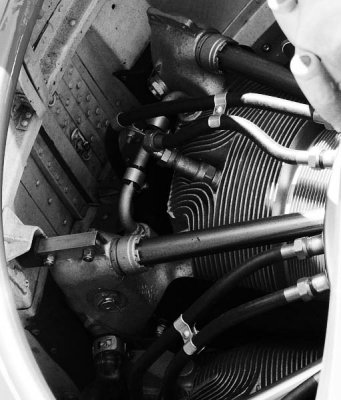 Radial engine cylinder