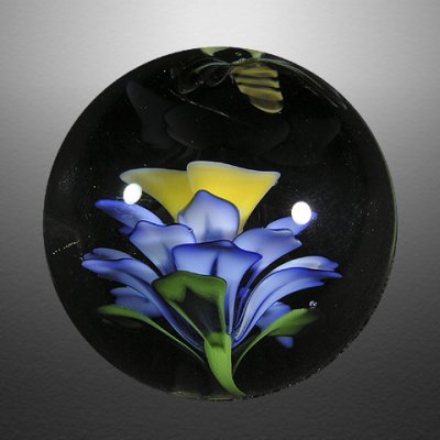 One of Sabina's signature flowers with the B stamen.  A buzzing murrine/painted Bee finishes the picture.
