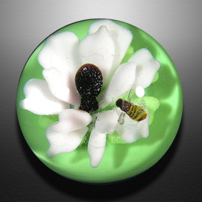Artist: George Pavliscak  Size: 0.81  Type: Lampworked Soft Glass