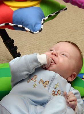 noah_8117.jpg