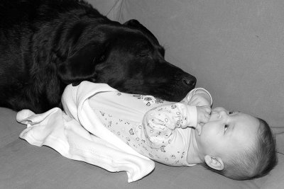 noah_P0909.jpg