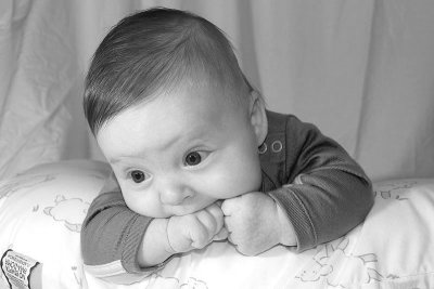 noah_P1012.jpg