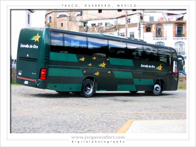 Estrella de Oro Bus