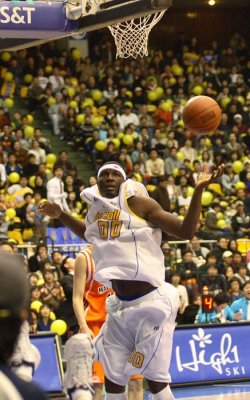Basket010.jpg