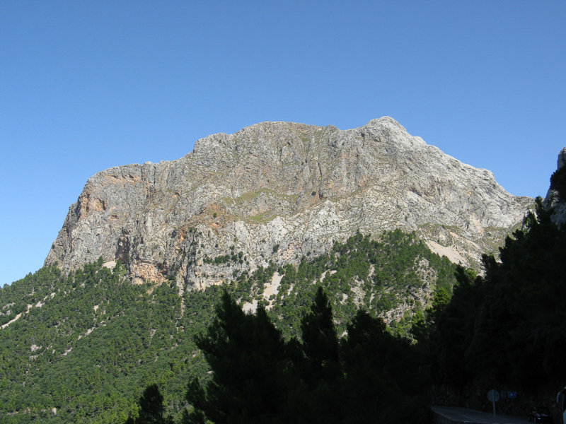 Soller