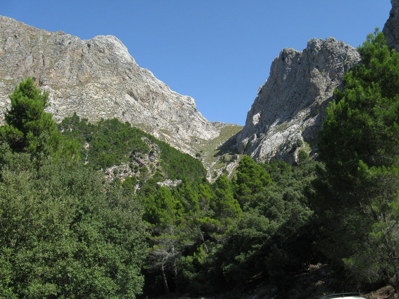Soller