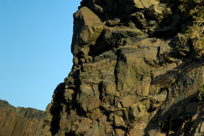 Sedimentary Raft (Xenolith)