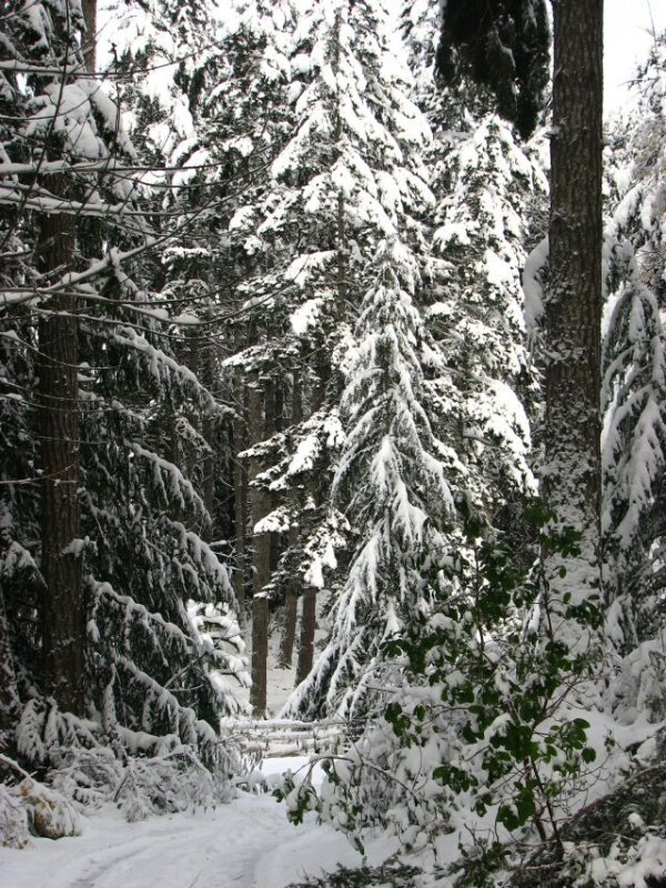 driveway enterance