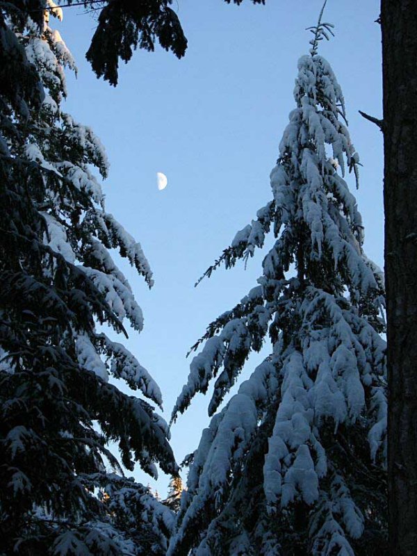 blue moon