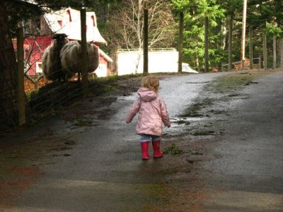 g6/89/632889/3/75407192.Gxs5W3nd.jpg