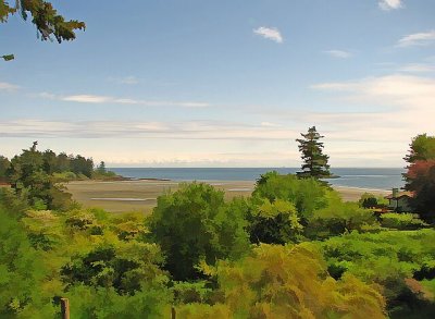 Tide's out.