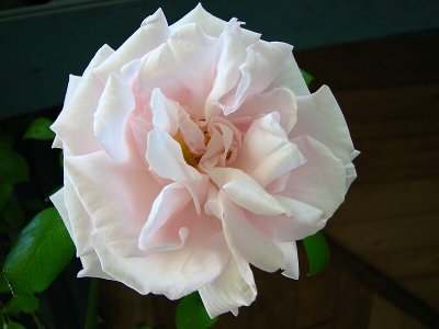 g6/89/632889/3/82231009.QahggWAI.jpg