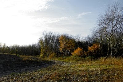 westduinpark.jpg
