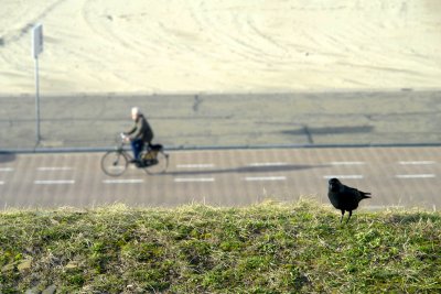 on the dike