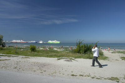 beach at the harbour
