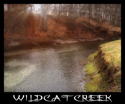 Wildcat Creek Surreal 1