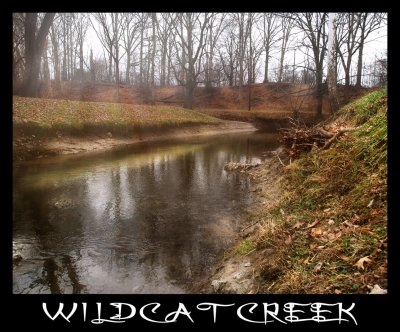 Wildcat-Creek Surreal 2