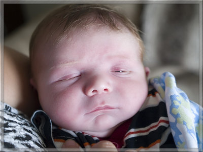 Eleven Days Old
