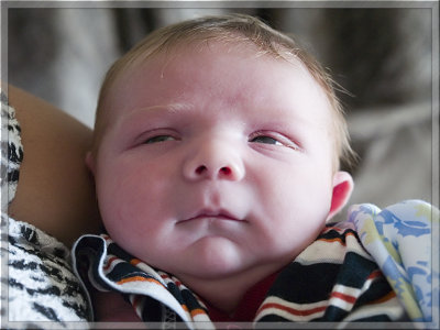 Eleven Days Old