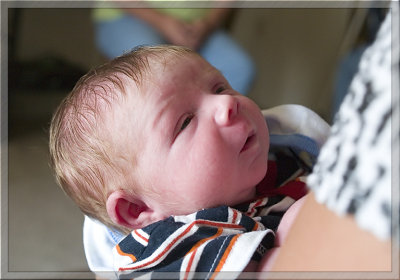 Eleven Days Old