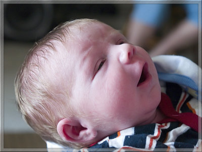 Eleven Days Old