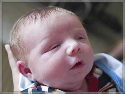 Eleven Days Old
