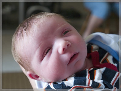 Eleven Days Old