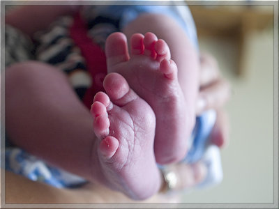 Eleven Days Old