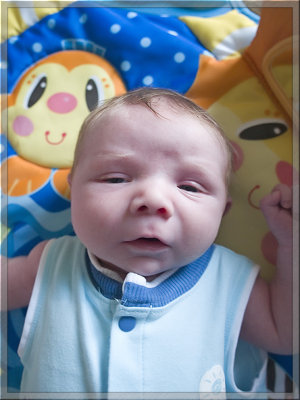 Eleven Days Old