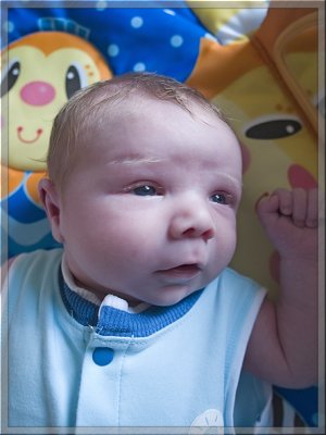 Eleven Days Old