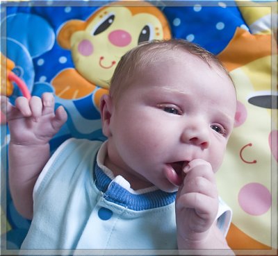 Eleven Days Old