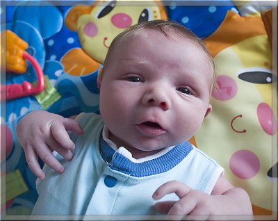 Eleven Days Old