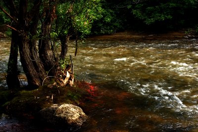 creek2.jpg