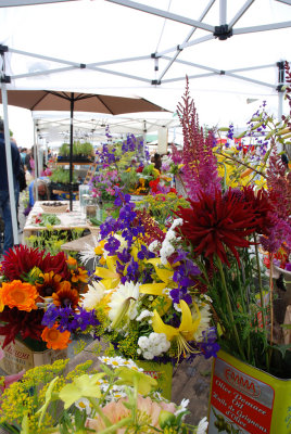 Flowers at the Saturday Market