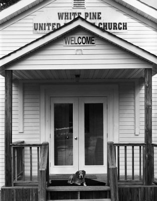 The Greeter