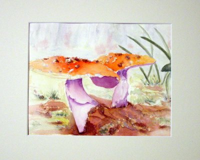 Fairy Umbrellas