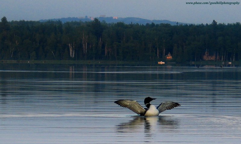 1280 x 768 Loon Mill Pond